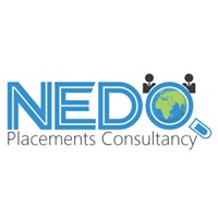 Nedo Placements Consultancy Logo
