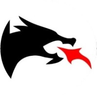More Dragons Logo