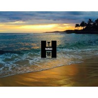 Hawaii Healthcare Technology Management Association Logo