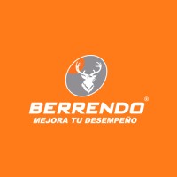BerrendoTeam Logo