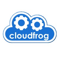 CloudFrog - Cloud & IT Consultancy Logo