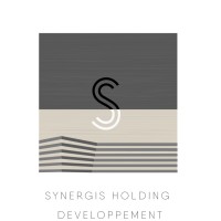 Synergis Holding Developpement Logo
