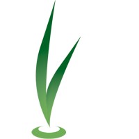 Verano Energy Logo