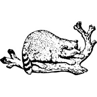 Joshua C. Productions Logo