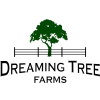 Dreaming Tree Farms Logo