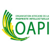 OAPI Logo