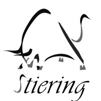 Stiering Logo