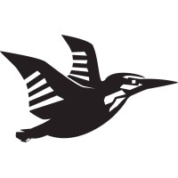 Nouse Logo