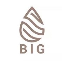 Borroka Investment Group Logo
