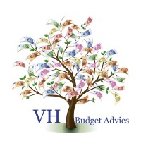 VH Budget Advies Logo