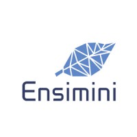 Ensimini Logo