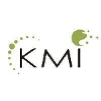 KMI Business Technologies Pvt. Ltd. Logo
