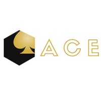 ACE New York Logo