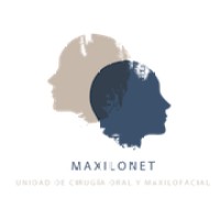 Maxilonet Logo