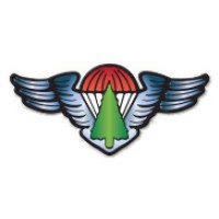 National Smokejumper Association Logo