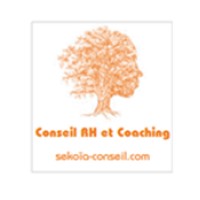 Sekoïa-Conseil Logo