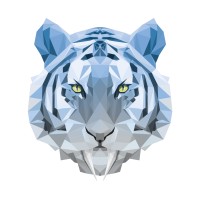 Hexa Tiger | Wordpress Website Design Logo
