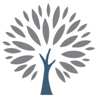 Lucent Elm Wealth Management Logo