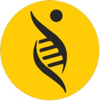 Bright Yellow Circle Logo