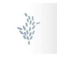 Cornerstone Investment Advisors LLC Logo