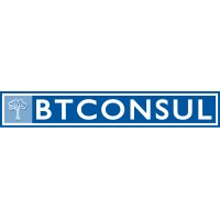 BTCONSUL Logo