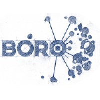BORO Solutions Limited Logo