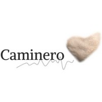 Caminero Logo