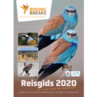 BirdingBreaks Logo