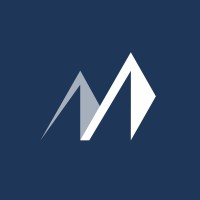 Impulse Network Logo