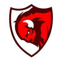 The Buffalo Rojo Design Co. Logo
