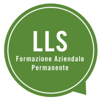 Levent Schools International Logo