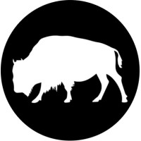 Book Capital Group Logo