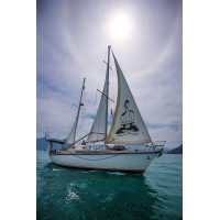 SV Delos Sailing YouTube Channel Logo