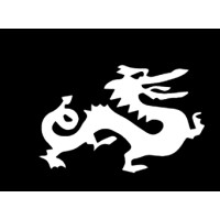 BNI Driven Dragons Logo