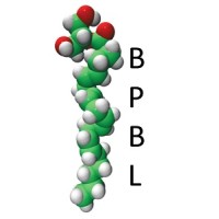 Bioanalysis and Pharmacology of Bioactive Lipids Research Group Logo
