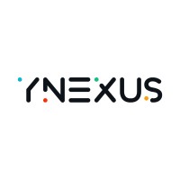yNexus Digital Tribe Logo