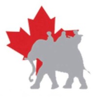 CINA Radio Group Logo