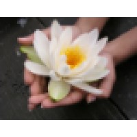 Harmony Bodywork Massage Therapy Logo