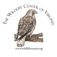 Wildlife Center of Virginia Logo