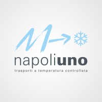 Napoli Uno Srl Logo