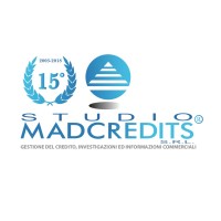STUDIO MAD CREDITS S.R.L. - your trusted business partner Logo