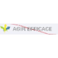 Agir Efficace Logo