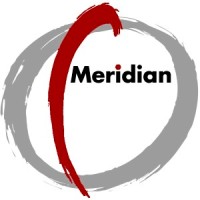 Meridian Venture Services LLC Logo