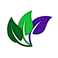 Herbal Mana Logo