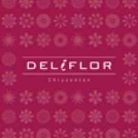 Deliflor Chrysanten B.V. Logo