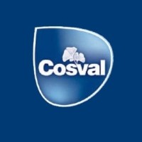 Cosval S.p.A Logo