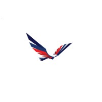 Investment Aircraft Logo