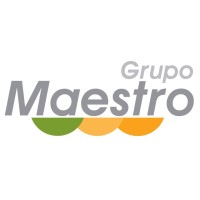 Grupo Maestro Logo