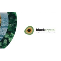 Black Crystal Environmental Consultants Logo