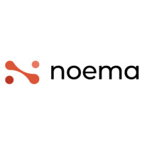 Noema Consulting Logo